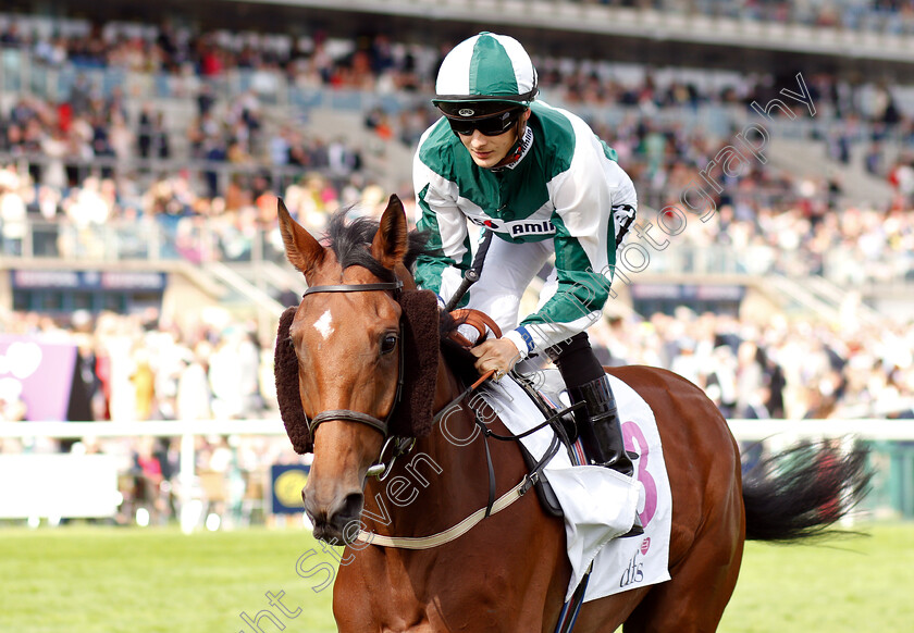 Isabel-De-Urbina-0001 
 ISABEL DE URBINA (Harry Bentley)
Doncaster 13 Sep 2018 - Pic Steven Cargill / Racingfotos.com