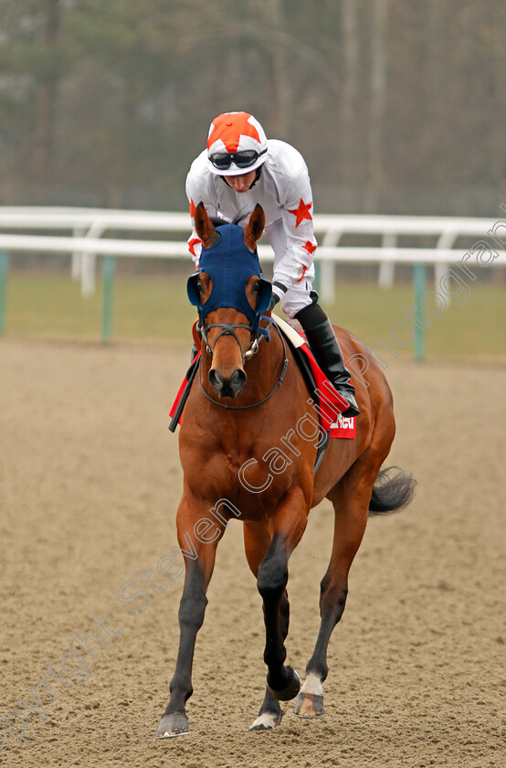 Lansky-0002 
 LANSKY (Ryan Moore) Lingfield 3 Mar 2018 - Pic Steven Cargill / Racingfotos.com