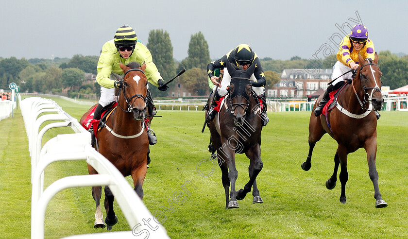 Compton-Mill-0004 
 COMPTON MILL (left, Serena Brotherton) beats PACTOLUS (centre) and BIOTIC (right) in The Slug And Lettuce 2-4-1 Cocktails Amateur Riders Handicap
Sandown 9 Aug 2018 - Pic Steven Cargill / Racingfotos.com