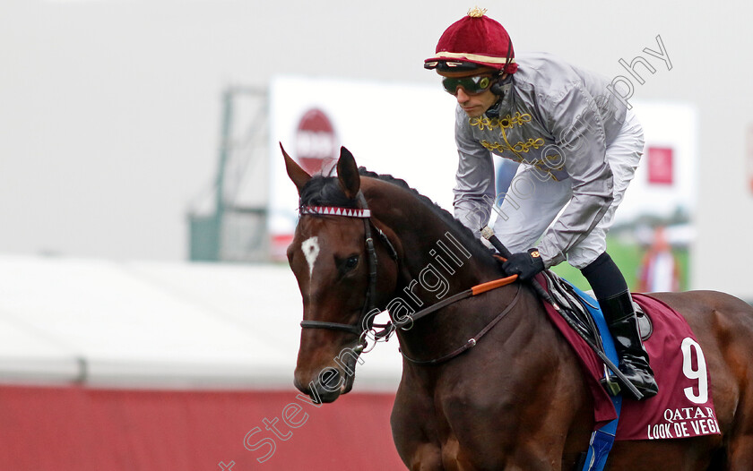 Look-De-Vega-0001 
 LOOK DE VEGA (R Thomas)
Longchamp 6 Oct 2024 - Pic Steven Cargill / Racingfotos.com