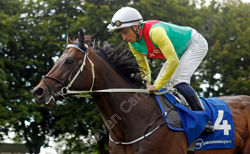 Mill-Stream-0006 
 MILL STREAM (William Buick) winner of The My Pension Expert July Cup
Newmarket 13 Jul 2024 - Pic Steven Cargill / Racingfotos.com