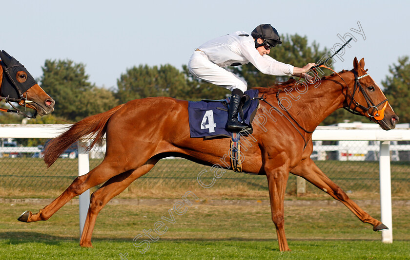 Overture-0006 
 OVERTURE (Luke Morris) wins The British EBF Premier Fillies Handicap
Yarmouth 18 Sep 2024 - Pic Steven Cargill / Racingfotos.com