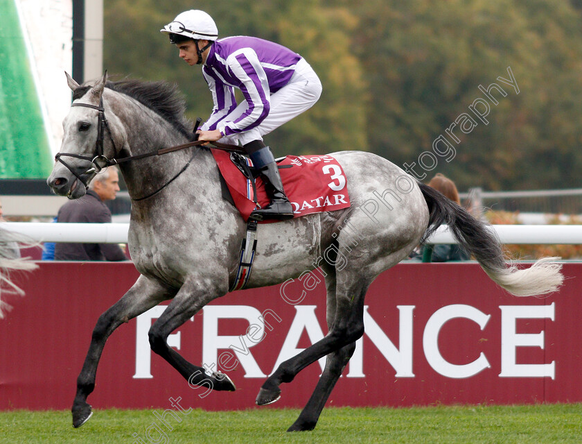 Capri-0001 
 CAPRI (Donnacha O'Brien)
Longchamp 7 Oct 2018 - Pic Steven Cargill / Racingfotos.com