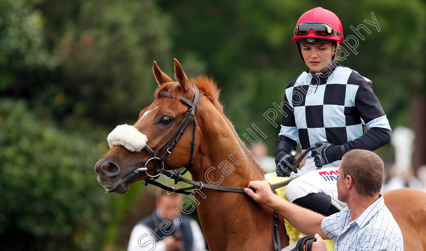 Torcello-0001 
 TORCELLO (Megan Nicholls)
Kempton 10 Jul 2019 - pic Steven Cargill / Racingfotos.com