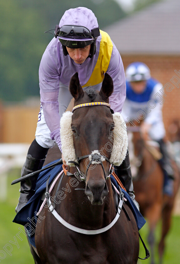 Moss-Gill-0001 
 MOSS GILL (P J McDonald) 
York 20 Aug 2021 - Pic Steven Cargill / Racingfotos.com