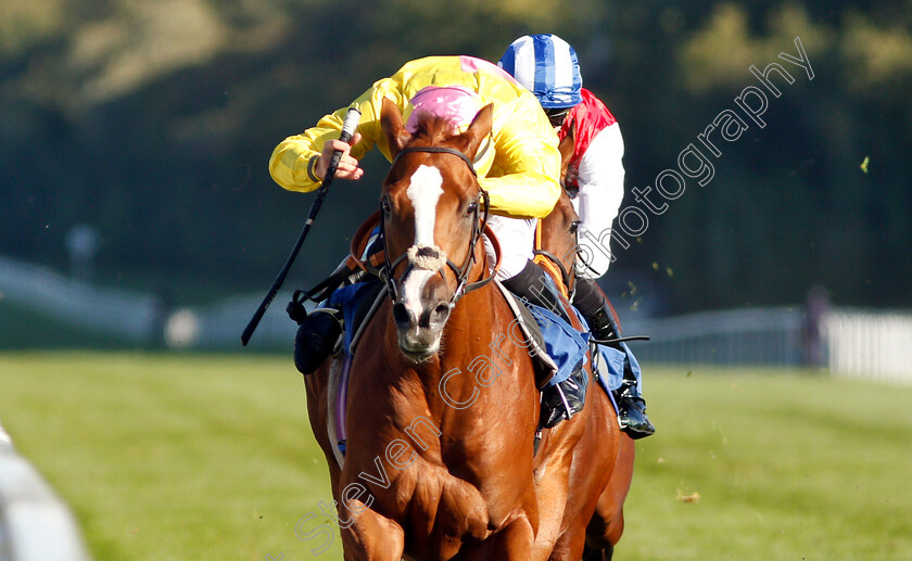 Naughty-Rascal-0007 
 NAUGHTY RASCAL (Tom Marquand) wins The Myddleton & Major Conditions Stakes
Salisbury 3 Oct 2018 - Pic Steven Cargill / Racingfotos.com