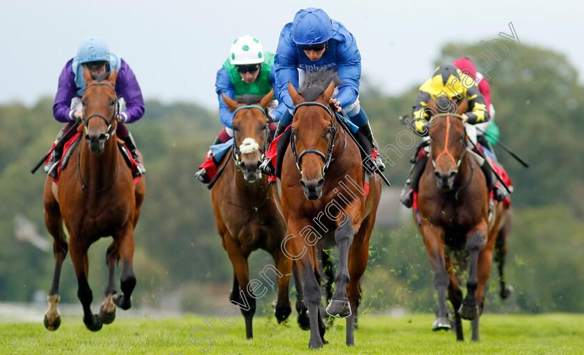 Arabian-Crown-0005 
 ARABIAN CROWN (William Buick) wins The Martin Densham Memorial British EBF Maiden Stakes
Sandown 27 Jul 2023 - Pic Steven Cargill / Racingfotos.com