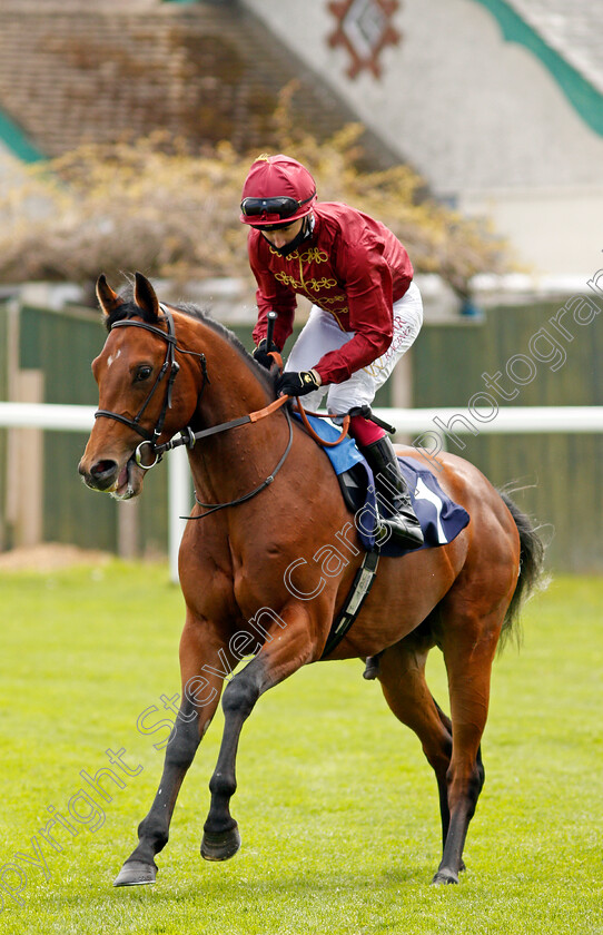 Battle-Of-The-Nile-0001 
 BATTLE OF THE NILE (Oisin Murphy)
Yarmouth 19 May 2021 - Pic Steven Cargill / Racingfotos.com