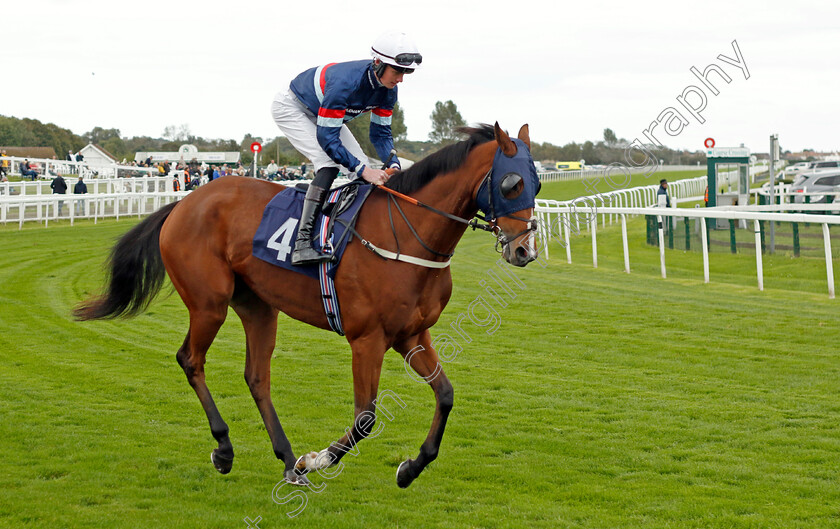 Bunker-Bay-0001 
 BUNKER BAY (Brandon Wilkie)
Yarmouth 16 Oct 2023 - Pic Steven Cargill / Racingfotos.com