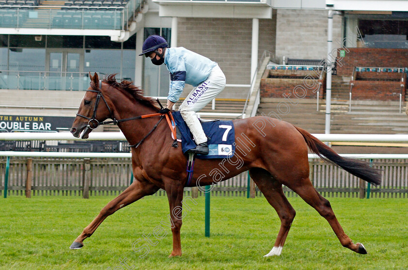 Parachute-0002 
 PARACHUTE (Tom Marquand)
Newmarket 21 Oct 2020 - Pic Steven Cargill / Racingfotos.com