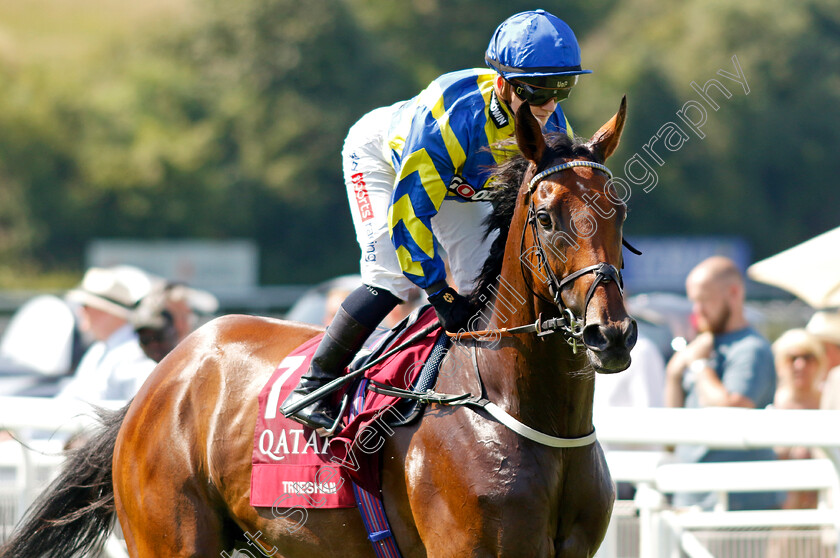 Trueshan-0002 
 TRUESHAN (Hollie Doyle)
Goodwood 30 Jul 2024 - Pic Steven Cargill / Racingfotos.com