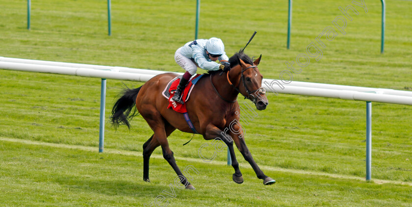 English-Oak-0001 
 ENGLISH OAK (Oisin Murphy) wins The Betfred Hattrick Heaven New Boston Handicap
Haydock 25 May 2024 - Pic Steven Cargill / Racingfotos.com