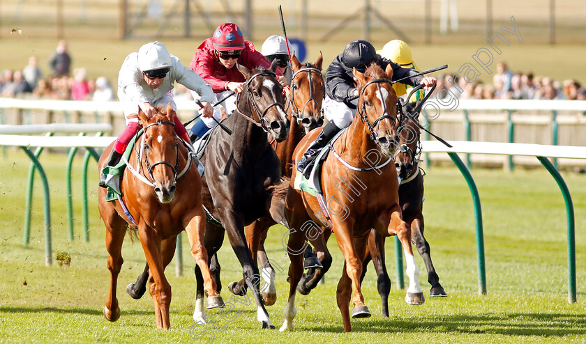 Millisle-0007 
 MILLISLE (right, Shane Foley) beats RAFFLE PRIZE (left) in The Juddmonte Cheveley Park Stakes
Newmarket 28 Sep 2019 - Pic Steven Cargill / Racingfotos.com