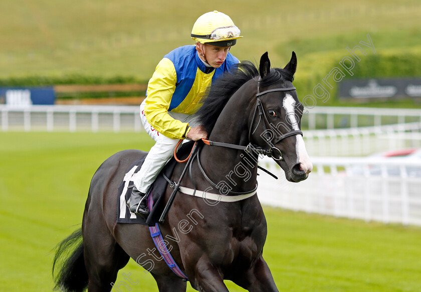 Monopolise 
 MONOPOLISE (Tom Marquand)
Goodwood 20 May 2022 - Pic Steven Cargill / Racingfotos.com