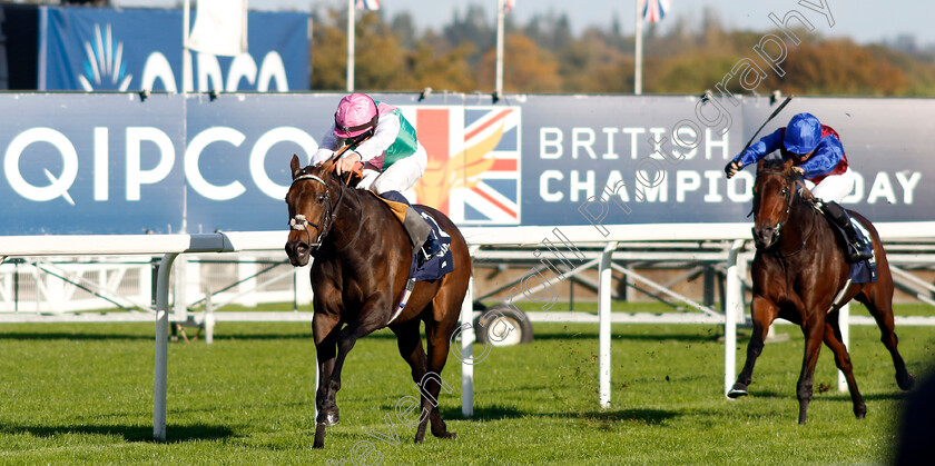 Kalpana-0011 
 KALPANA (William Buick) wins The Qipco British Champions Fillies & Mares Stakes
Ascot 19 Oct 2024 - Pic Steven Cargill / Racingfotos.com