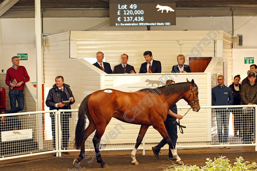 Lot-0049-colt-by-Excelebration-ex-Wooded-Glade-0001 
 TOP LOT; Lot 049 colt by Excelebration ex Wooded Glade sells for £120,000 at the Tattersalls Ireland Ascot Breeze Up Sale 5 Apr 2018 - Pic Steven Cargill / Racingfotos.com