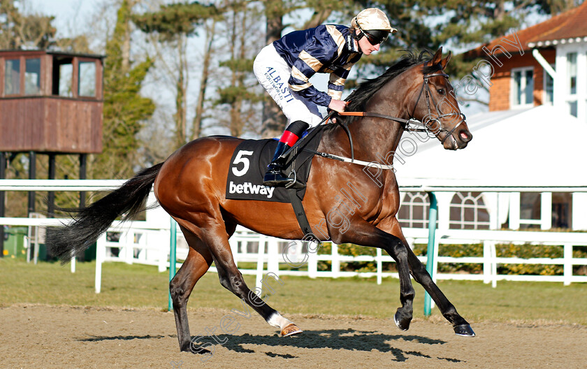 Khalidi-0001 
 KHALIDI (Adam Kirby) Lingfield 24 Feb 2018 - Pic Steven Cargill / Racingfotos.com