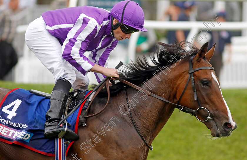 Continuous-0008 
 CONTINUOUS (Ryan Moore) wins The Betfred St Leger Stakes
Doncaster 16 Sep 2023 - Pic Steven Cargill / Racingfotos.com