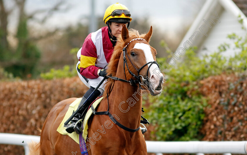 Incan-Empire-0001 
 INCAN EMPIRE (Hayley Turner)
Kempton 3 Apr 2024 - Pic Steven Cargill / Racingfotos.com