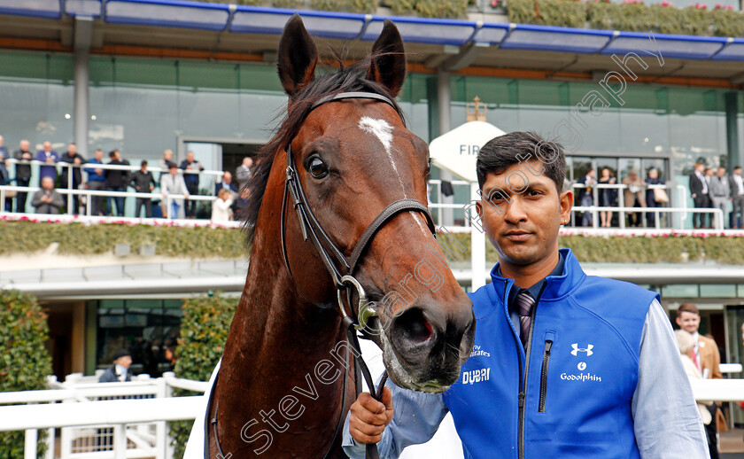 Blue-Point-0007 
 BLUE POINT after The John Guest Bengough Stakes Ascot 7 Oct 2017 - Pic Steven Cargill / Racingfotos.com