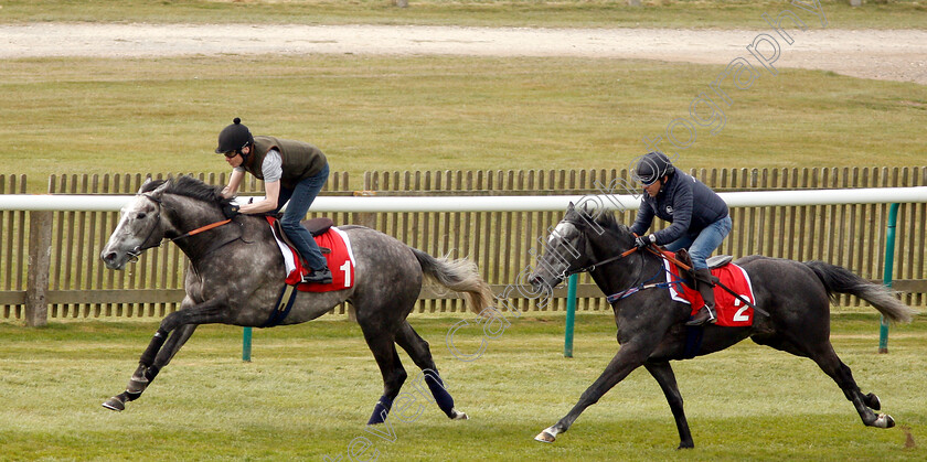 Phoenix-Of-Spain-0002 
 PHOENIX OF SPAIN (Jamie Spencer) in racecourse gallop
Newmarket 16 Apr 2019 - Pic Steven Cargill / Racingfotos.com