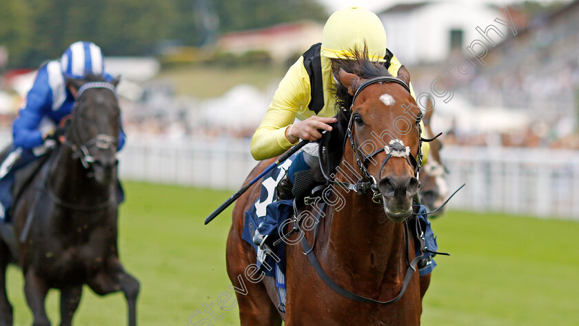 Jadoomi-0002 
 JADOOMI (William Buick) wins The William Hill Celebration Mile
Goodwood 27 Aug 2022 - Pic Steven Cargill / Racingfotos.com