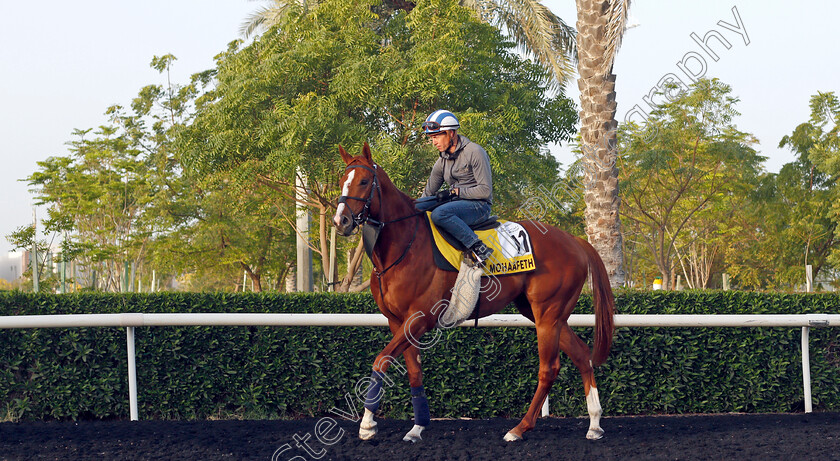 Mohaafeth-0006 
 MOHAAFETH (Jim Crowley) training for The Dubai Turf
Meydan, Dubai, 24 Mar 2022 - Pic Steven Cargill / Racingfotos.com