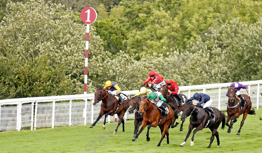 Haatem-0004 
 HAATEM (centre, Sean Levey) beats MOUNTAIN BEAR (right) in The Nicholson Gin Vintage Stakes
Goodwood 1 Aug 2023 - Pic Steven Cargill / Racingfotos.com