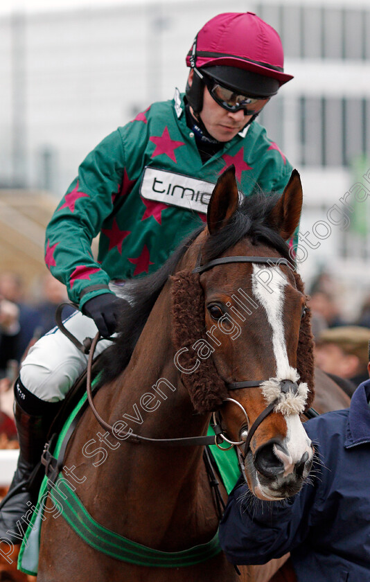 Mister-Whitaker-0002 
 MISTER WHITAKER (Jonathan Burke)
Cheltenham 25 Jan 2020 - Pic Steven Cargill / Racingfotos.com