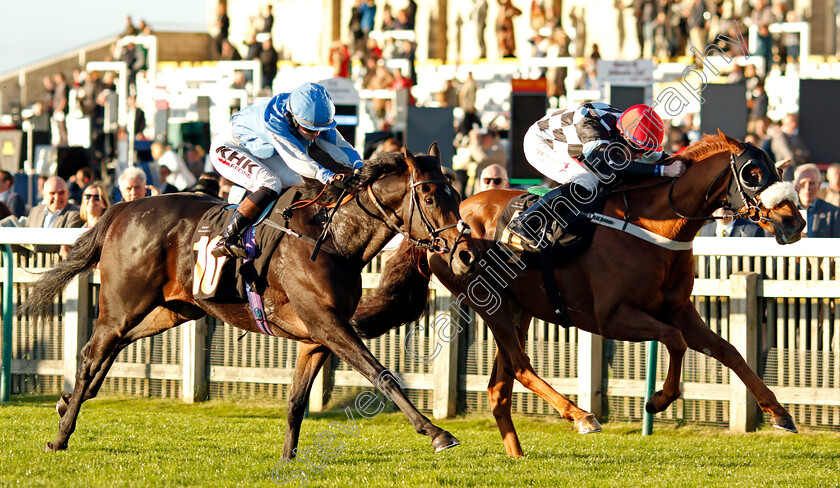 Torcello-0001 
 TORCELLO (Rossa Ryan) beats HAARAR (left) in The racingtv.com/freetrial Handicap
Newmarket 28 Oct 2022 - Pic Steven Cargill / Racingfotos.com