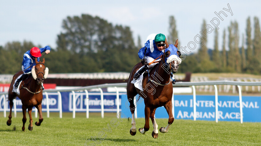 Thamaraat-0003 
 THAMARAAT (Tadhg O'Shea) wins The Dubai Developments Premier Handicap
Newbury 28 Jul 2019 - Pic Steven Cargill / Racingfotos.com