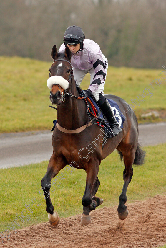 Blackjack-Kentucky-0001 
 BLACKJACK KENTUCKY (Katie O'Farrell)
Chepstow 7 Dec 2019 - Pic Steven Cargill / Racingfotos.com