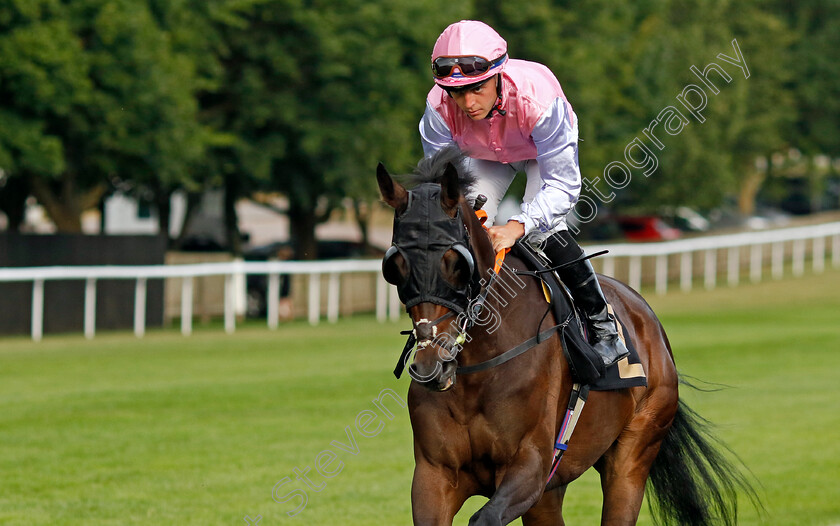 Camerata 
 CAMERATA (Ray Dawson)
Newmarket 29 Jul 2022 - Pic Steven Cargill / Racingfotos.com