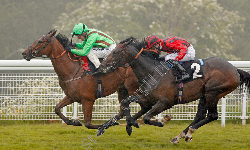 Sing-Out-Loud-0004 
 SING OUT LOUD (Jim Crowley) beats LEGAL HISTORY (right) in The Frescobaldi Handicap Goodwood 24 May 2018 - Pic Steven Cargill / Racingfotos.com