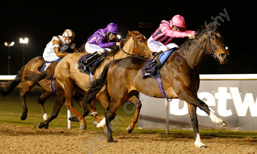 Swiss-Storm-0004 
 SWISS STORM (David Probert) wins The Betway Handicap
Wolverhampton 26 Feb 2019 - Pic Steven Cargill / Racingfotos.com