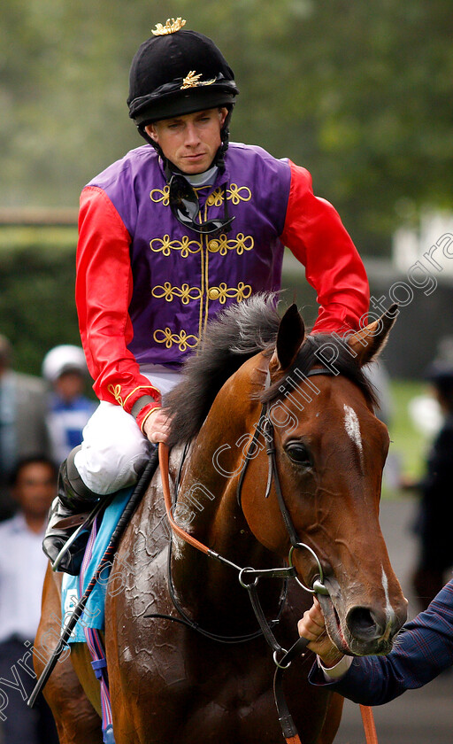 Sextant-0011 
 SEXTANT (Ryan Moore) after The John Guest Racing Handicap
Ascot 26 Jul 2019 - Pic Steven Cargill / Racingfotos.com