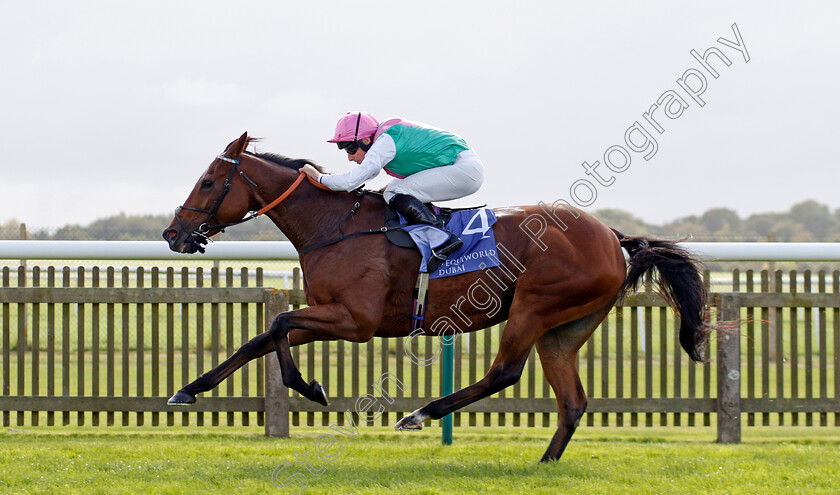 Time-Lock-0002 
 TIME LOCK (Ryan Moore) wins The Princess Royal Al Basti Equiworld Dubai Stakes
Newmarket 27 Sep 2024 - Pic Steven Cargill / Racingfotos.com