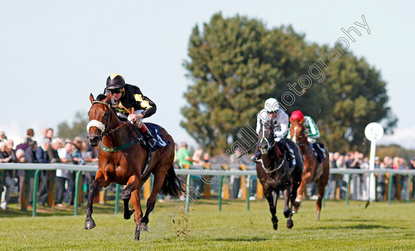 Rayna s-World-0001 
 RAYNA'S WORLD (Jimmy Quinn) wins The Vince Sullivan Memorial Nursery Yarmouth 19 Sep 2017 - Pic Steven Cargill / Racingfotos.com