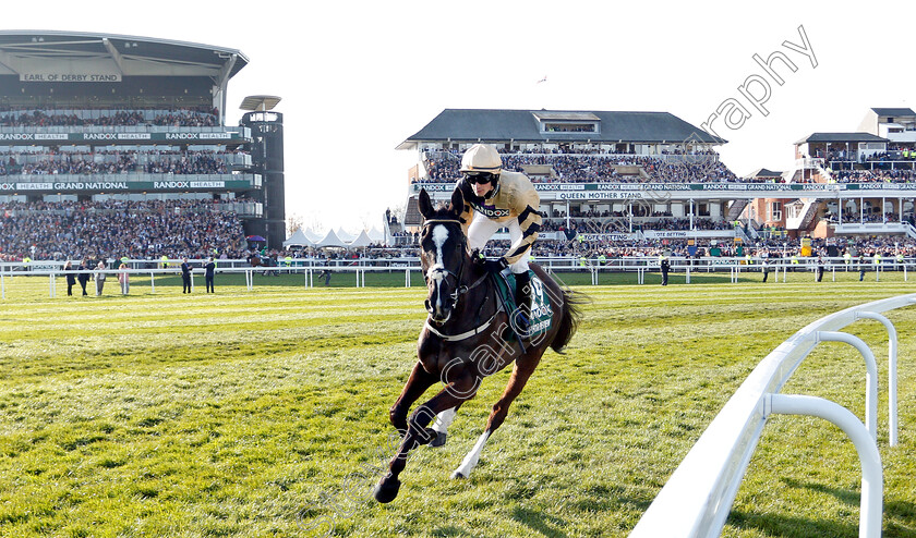 Up-For-Review-0001 
 UP FOR REVIEW (Daniel Mullins)
Aintree 6 Apr 2019 - Pic Steven Cargill / Racingfotos.com