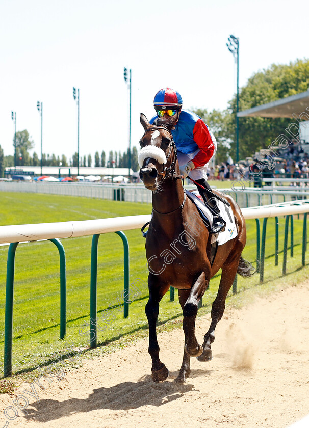 Dannsa-Flora-0001 
 DANNSA FLORA (Gerald Mosse)
Deauville 7 Aug 2022 - Pic Steven Cargill / Racingfotos.com