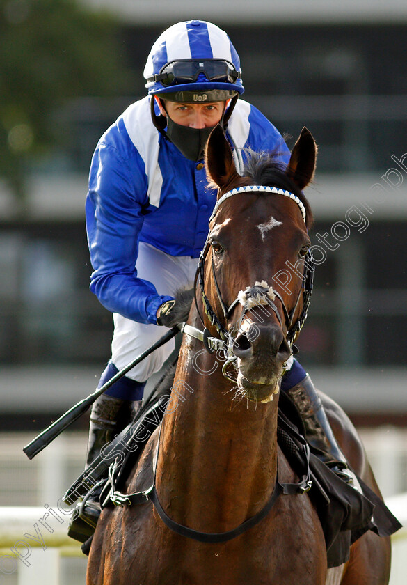 Jash-0001 
 JASH (Jim Crowley)
Newbury 18 Sep 2020 - Pic Steven Cargill / Racingfotos.com