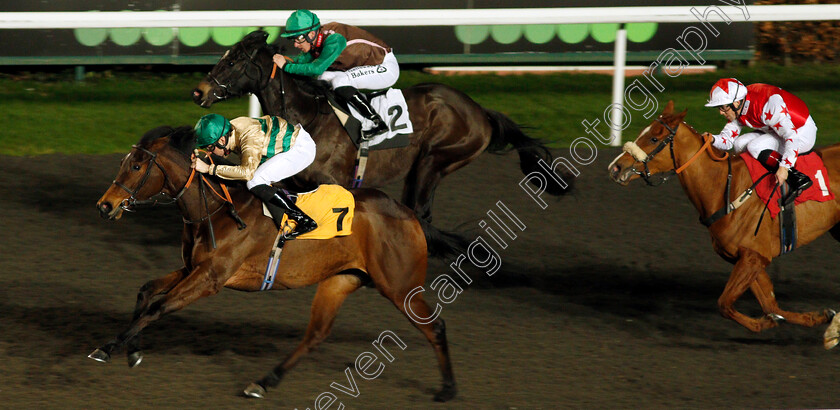 Inevitable-Outcome-0003 
 INEVITABLE OUTCOME (Callum Shepherd) wins The 32Red.com Handicap
Kempton 17 Feb 2020 - Pic Steven Cargill / Racingfotos.com