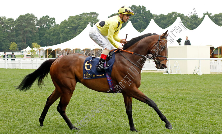 Emaraaty-Ana-0001 
 EMARAATY ANA (Andrea Atzeni)
Royal Ascot 18 Jun 2022 - Pic Steven Cargill / Racingfotos.com