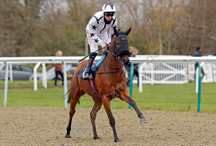 Unique-Cut-0002 
 UNIQUE CUT (Robert Havlin)
Lingfield 1 Dec 2021 - Pic Steven Cargill / Racingfotos.com