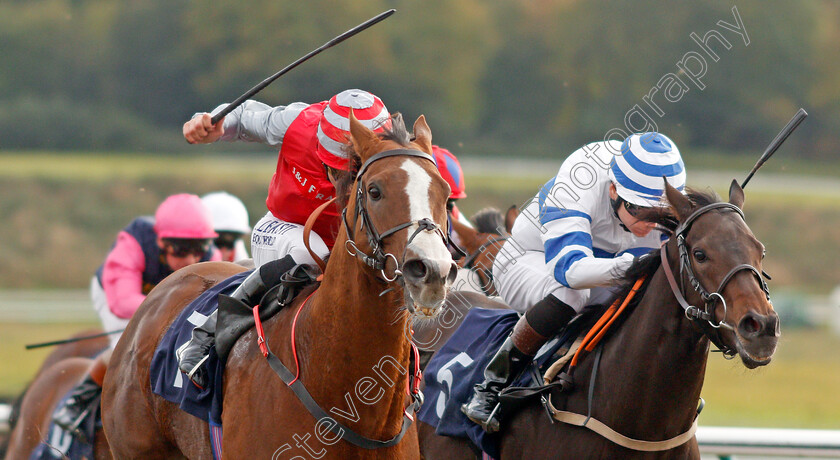 Sandfrankskipsgo-0003 
 SANDFRANKSKIPSGO (left, Pat Dobbs) beats AQUADABRA (right) in The Call Star Sports On 08000 521 321 Handicap
Lingfield 3 Oct 2019 - Pic Steven Cargill / Racingfotos.com