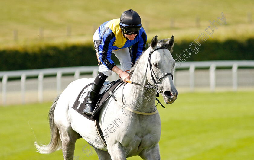 Gunmetal-0001 
 GUNMETAL (William Carson)
Goodwood 22 Sep 2021 - Pic Steven Cargill / Racingfotos.com