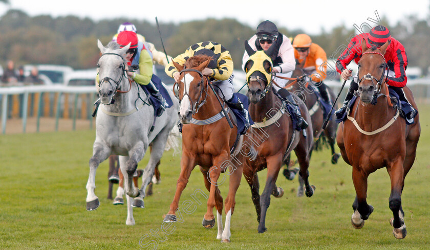 Minnelli-0003 
 MINNELLI (2nd left, Tom Marquand) beats SEA OF MYSTERY (right) in The La Continental Cafe Of Great Yarmouth Handicap
Yarmouth 17 Sep 2019 - Pic Steven Cargill / Racingfotos.com