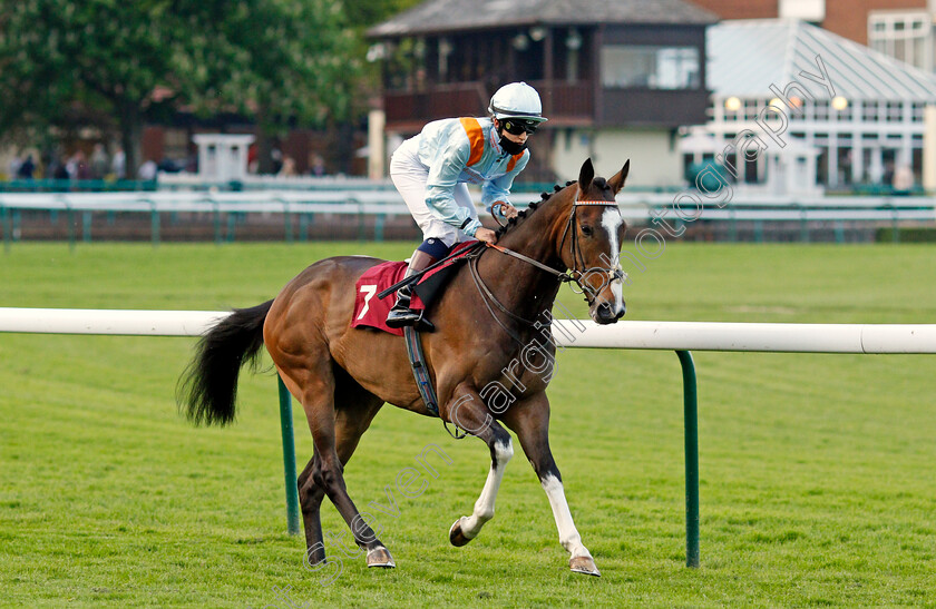 Carpentier-0001 
 CARPENTIER (Morgan Cole)
Haydock 28 May 2021 - Pic Steven Cargill / Racingfotos.com