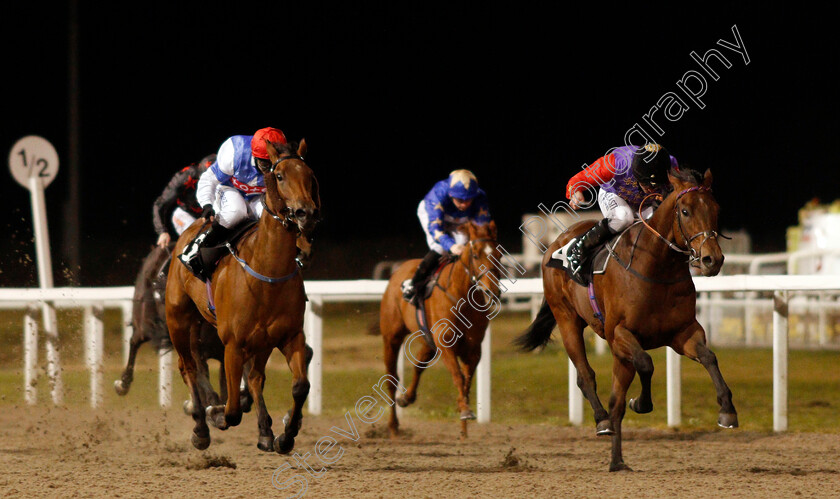 Sergeant-Major-0001 
 SERGEANT MAJOR (right, Ryan Moore) beats BEIJA FLOR (left) in the tote.co.uk Now Never Beaten By SP Handicap
Chelmsford 4 Mar 2021 - Pic Steven Cargill / Racingfotos.com