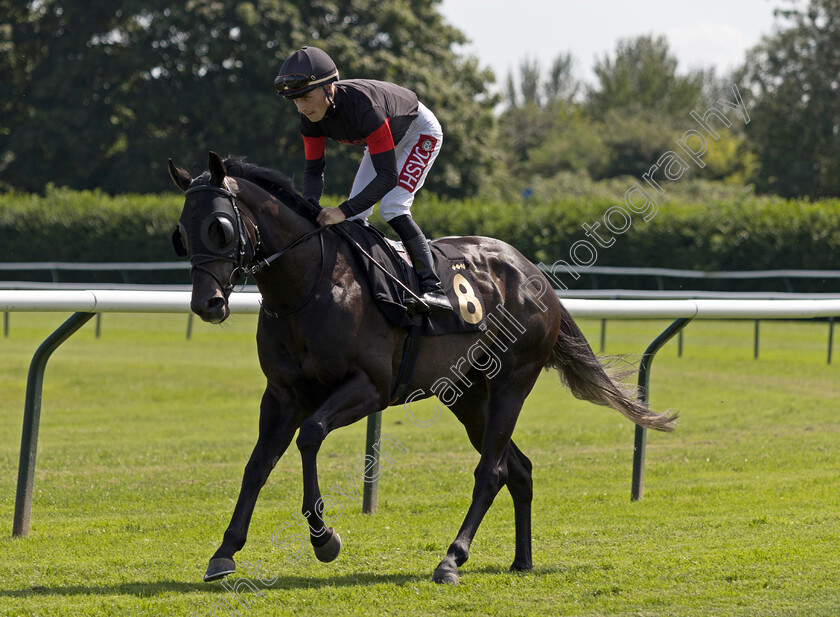 Morning-Suit-0001 
 MORNING SUIT (Tyler Heard)
Nottingham 19 Jul 2024 - Pic Steven Cargill / Megan Dent / Racingfotos.com